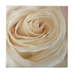 Carreau Tile photo Rose blanche