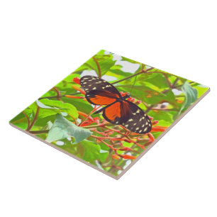 CARREAU TILE/TRIVET "BUTTERFLY" (PHOTOG)
