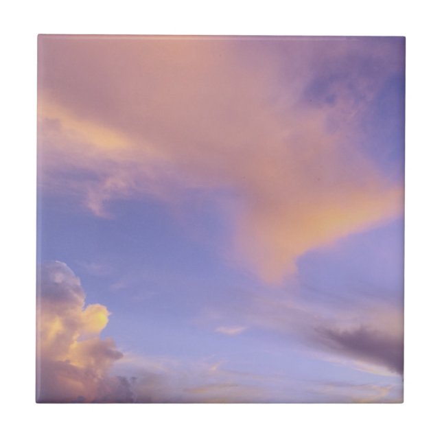 CARREAU TILE/TRIVET "PEINTED SKY" (Devant)