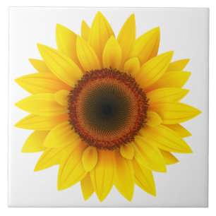 Carreau Tile Trivet-Tournesol