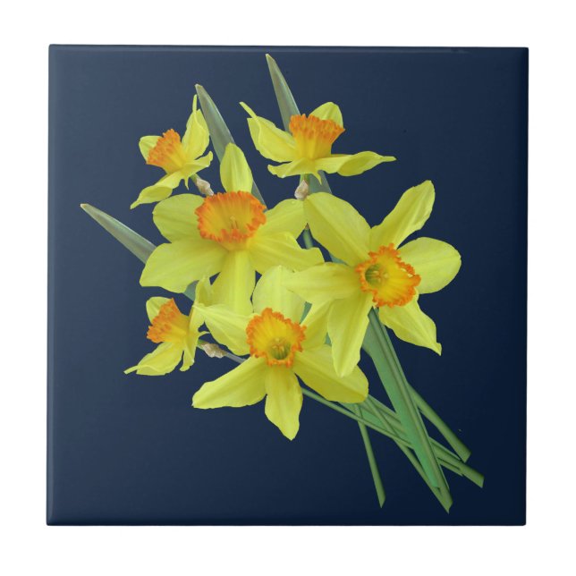 CARREAU TITRE CÉRAMIQUE DE DAFFODIL (Devant)