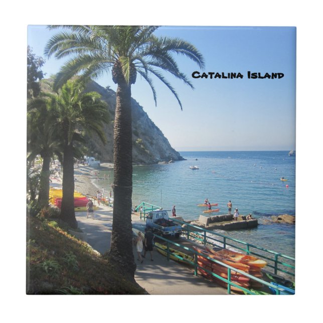 CARREAU TITRE CÉRAMIQUE DE L'ÎLE CATALINA (Devant)