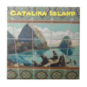 CARREAU TITRE CÉRAMIQUE DE L'ÎLE CATALINA