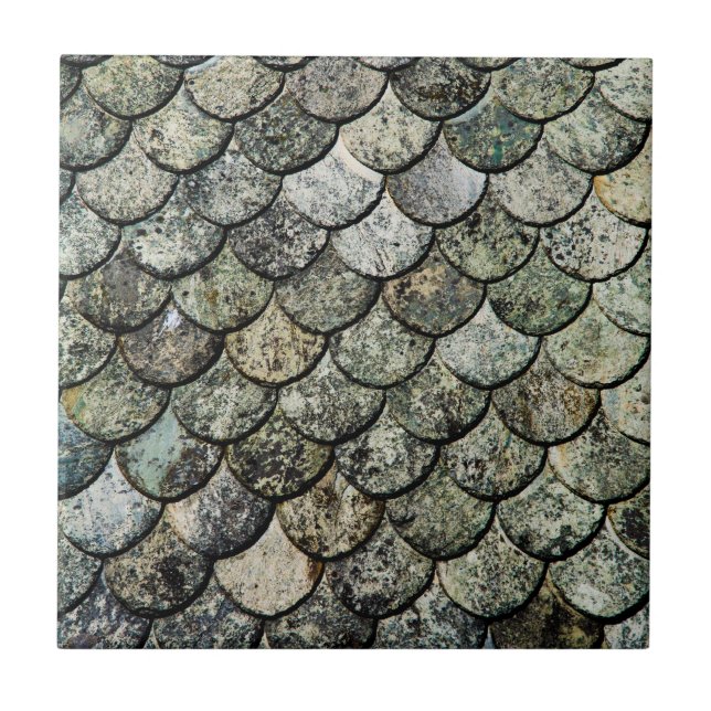Carreau Toit d'ardoise norvégien de motif d'échelle de (Devant)