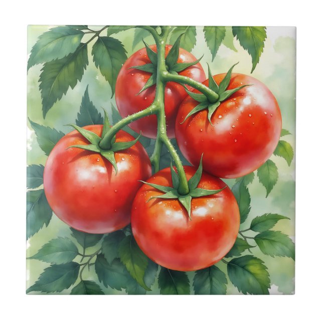Carreau Tomate Mûre sur la Vigne Aquarelle Fraîche (Devant)