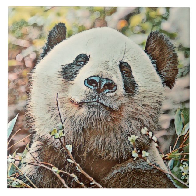 Carreau toony panda (Devant)
