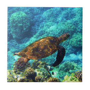 Carreau tortue de mer