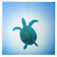 Tortue de mer nageant sous l'eau