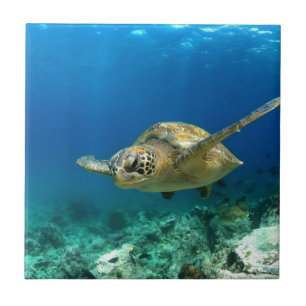 Carreau Tortue de mer sous l'eau