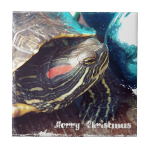 Carreau Tortue de Noël