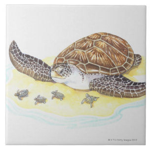 Carreau Tortue et bébés de mer