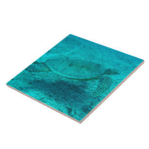 Carreau Tortue verte hawaïenne