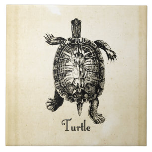 Carreau TORTUE vintage