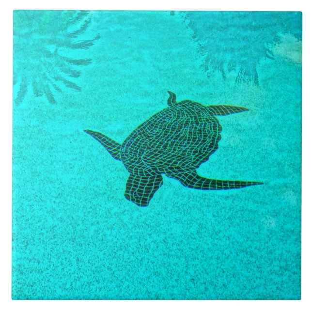 Carreau Tortuga Turtle Mosaic sur l'île de Sanibel Floride (Devant)