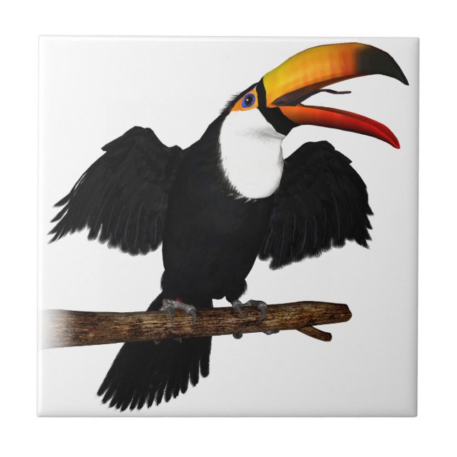 Carreau Toucan de Toco (Devant)