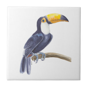 Carreau Toucan, oiseau tropical