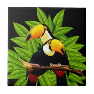 Carreau Toucans exotiques
