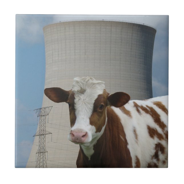 Carreau Tour de refroidissement de la vache et de l'énergi (Devant)