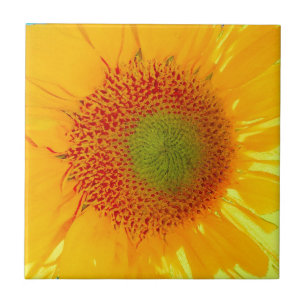 Carreau Tournesol
