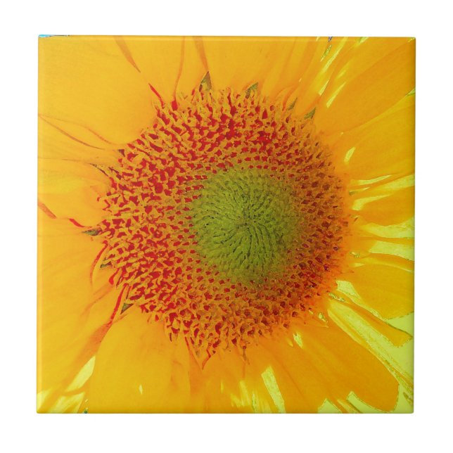 Carreau Tournesol (Devant)