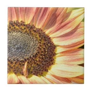 Carreau Tournesol