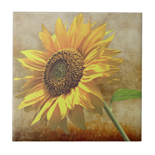 Carreau Tournesol
