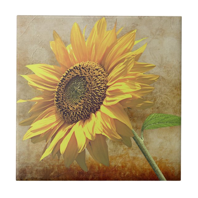 Carreau Tournesol (Devant)