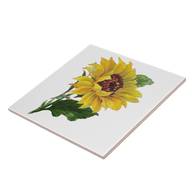 Carreau Tournesol (Côté)