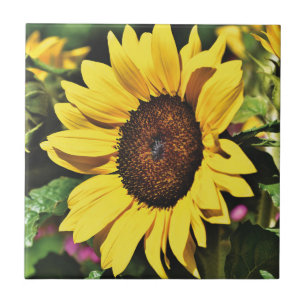 Carreau Tournesol 
