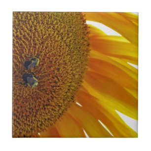 Carreau Tournesol aux bourdons