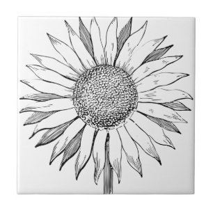 Carreau Tournesol illustré