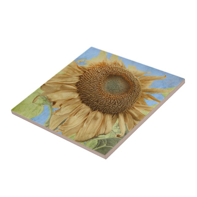 Carreau Tournesol Jaune Bleu Rustique Jardin Pays Floral (Côté)