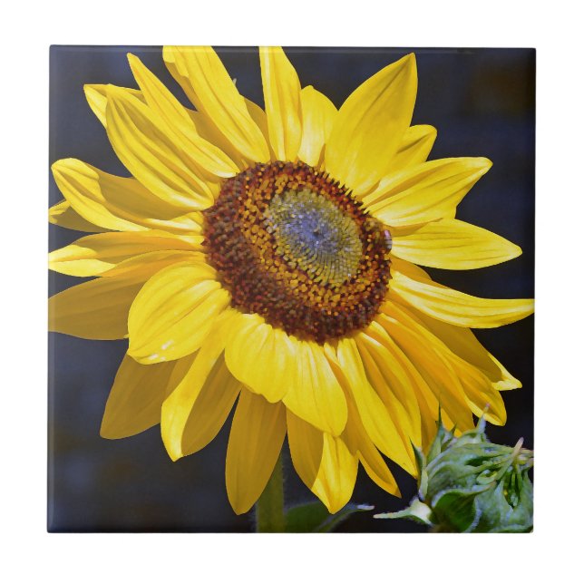 Carreau Tournesol jaune lumineux (Devant)