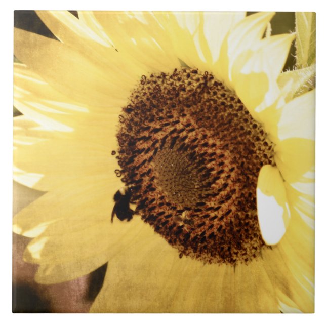 Carreau Tournesol vintage (Devant)