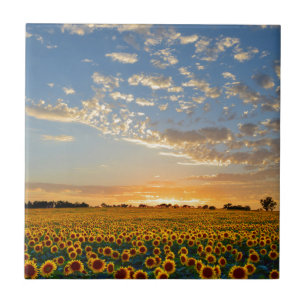 Carreau Tournesols au coucher du soleil