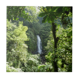 Carreau Trafalgar Falls Tropical Rainforest Photographie