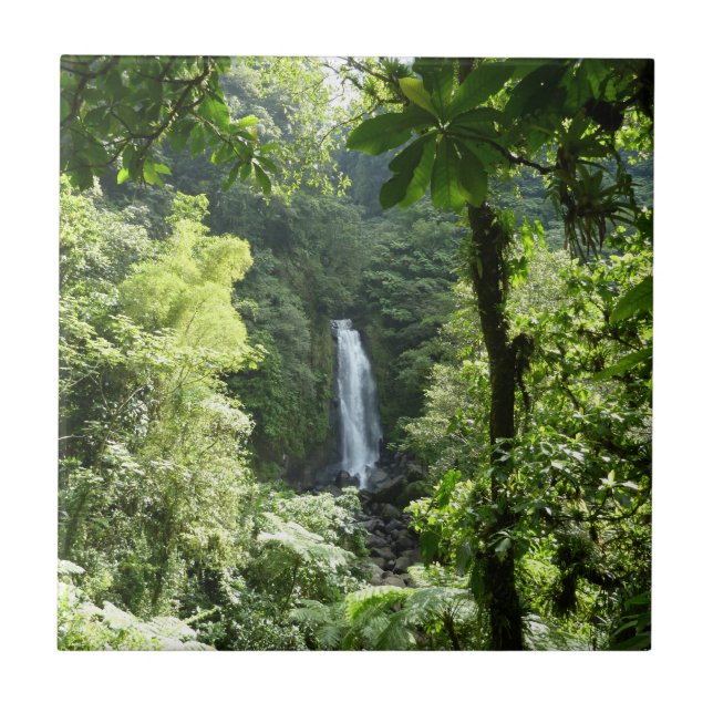 Carreau Trafalgar Falls Tropical Rainforest Photographie (Devant)