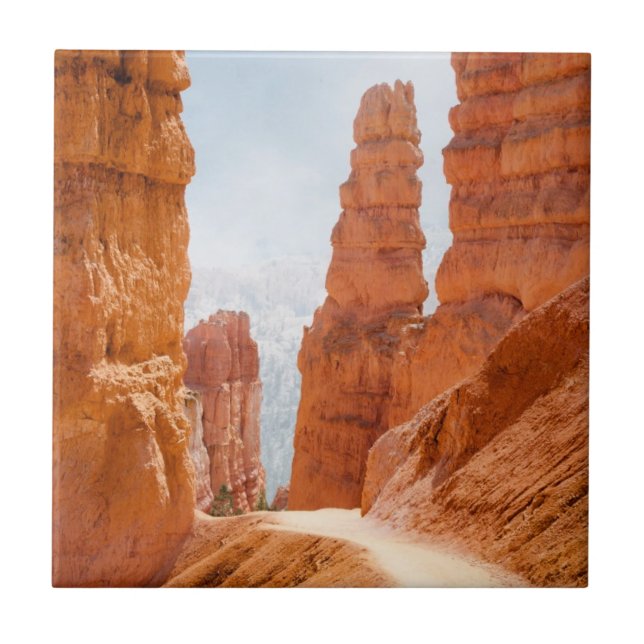 Carreau Traînée de parc national de canyon de Bryce (Devant)