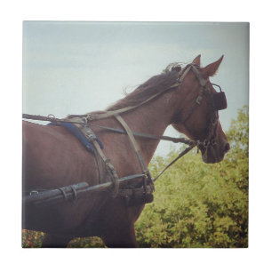 Carreau Transport par cheval