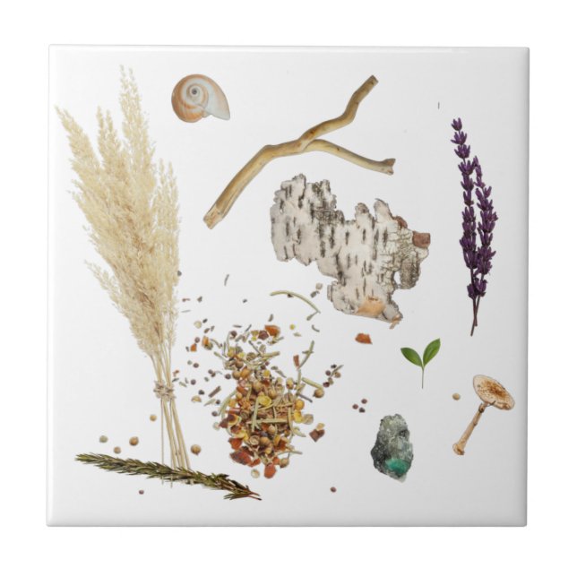 Carreau Treasures Ceramic Tile (Devant)