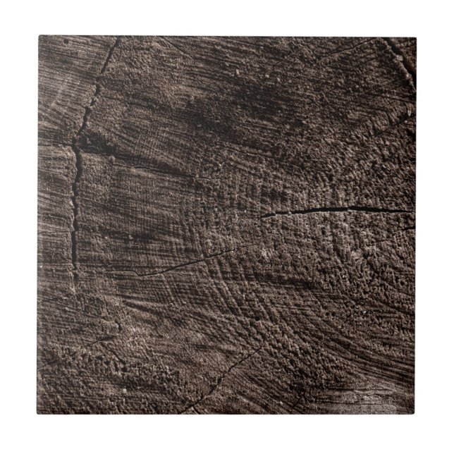 Carreau Tree Stump (Devant)