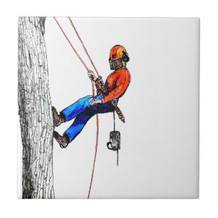 Carreau Tree Surgeon Arborist