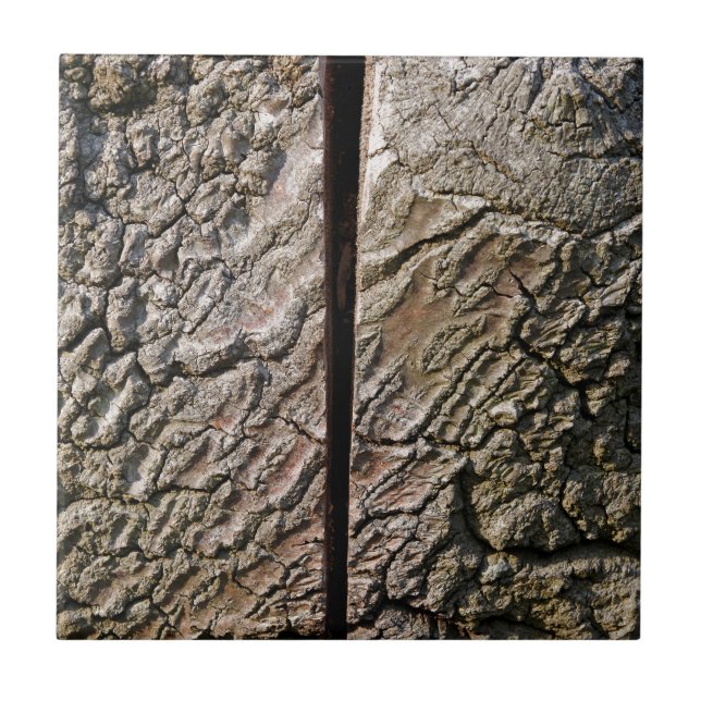 Carreau Tree with centre cut (Devant)