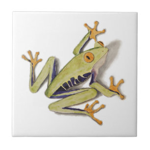 Carreau treefrog.jpg