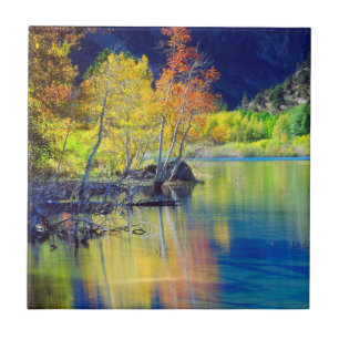 Carreau Tremble d'automne se reflétant dans le lac Grant