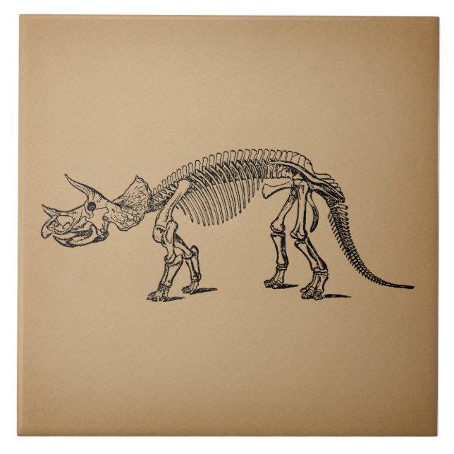 Carreau Tricératops Dinosaur Skeleton Art préhistorique (Devant)
