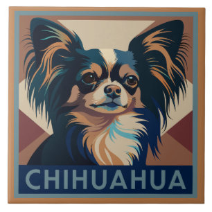 Carreau Tricolor Long Haired Chihuahua