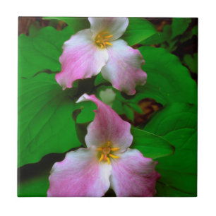 Carreau Trillium Fleur sauvage