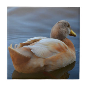 Carreau Trivet de canard