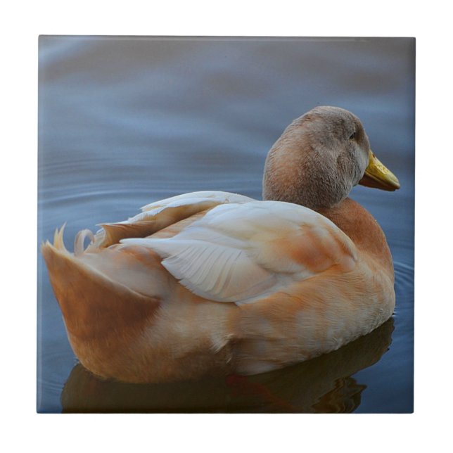 Carreau Trivet de canard (Devant)